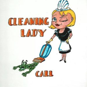 Cleaning Lady Naperville